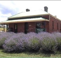 Lavender House in Railway Park - Holiday Adelaide