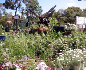 Zanthorrea Nursery - Holiday Adelaide 0