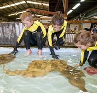 Australian Shark and Ray Centre - Holiday Adelaide