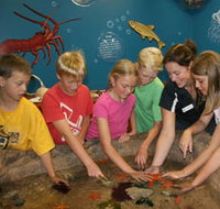 Naturaliste Marine Discovery Centre - Holiday Adelaide