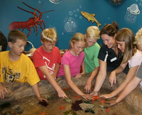 Naturaliste Marine Discovery Centre - Holiday Adelaide 0