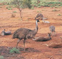 Hammond Park - Holiday Adelaide