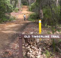 Old Timberline and Sidings Rail Trails - Holiday Adelaide