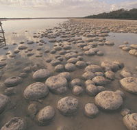 Lake Clifton Thrombolites - Holiday Adelaide