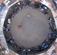 Two-Up School - Holiday Adelaide