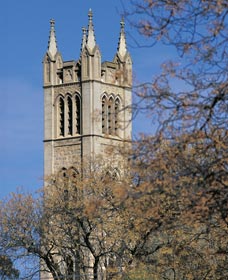 St Patrick's Church - Holiday Adelaide 0