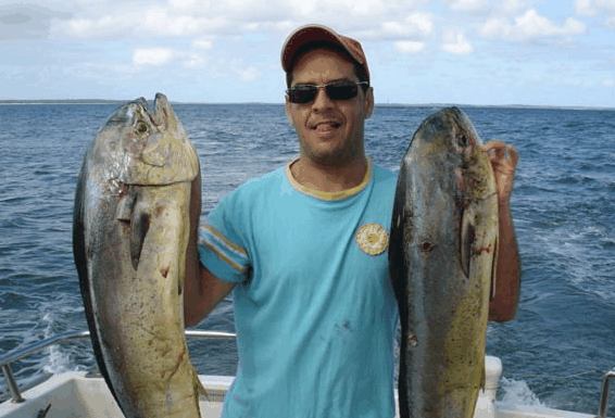 Jervis Bay Fishing and Charters - Holiday Adelaide