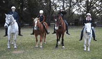 Valhalla Horse Riding - Holiday Adelaide 1