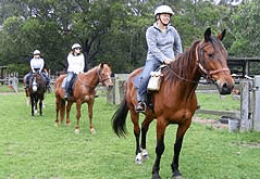 Valhalla Horse Riding - Holiday Adelaide 2