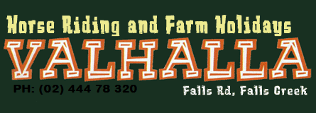 Valhalla Horse Riding - Holiday Adelaide 4