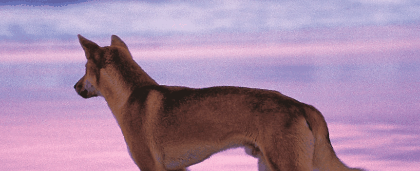 Fraser Coast Discovery Sphere - Holiday Adelaide 1