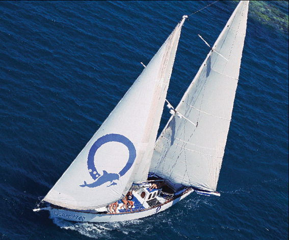 Cairns City QLD Holiday Adelaide