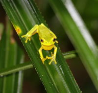 Daintree River Cruise Centre - Holiday Adelaide