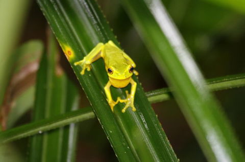 Daintree River Cruise Centre - Holiday Adelaide 0