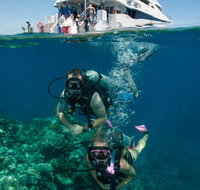 Down Under Cruise and Dive - Holiday Adelaide
