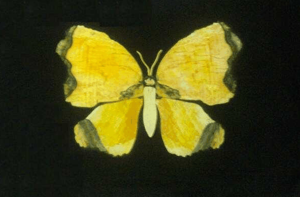 Ashworths - Holiday Adelaide 0