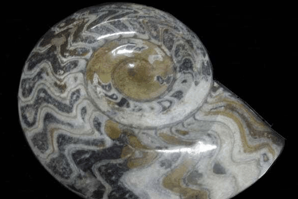 Ashworths - Holiday Adelaide 2