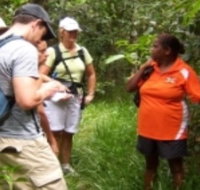 Ingan Tours - Spirit of the Rainforest Tour