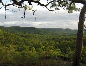 Cooktown Aboriginal Art Tours - Holiday Adelaide 1