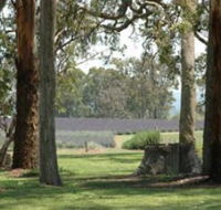 Aloomba Lavender - Holiday Adelaide