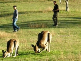 Southern Queensland Country QLD Holiday Adelaide