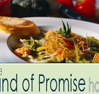 Land of Promise Hotel - Holiday Adelaide