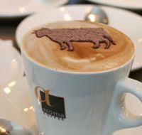 Brown Cow - Holiday Adelaide