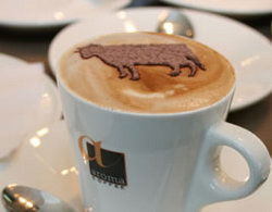 Brown Cow - Holiday Adelaide 0