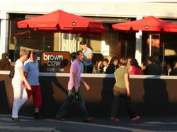 Brown Cow - Holiday Adelaide 1