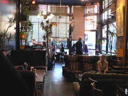 Blackcat - Holiday Adelaide 1