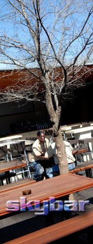 Alma Tavern - Holiday Adelaide 2