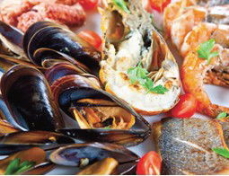 Pelagos Greek Tavern - Holiday Adelaide 2