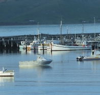 The Apollo Bay Hotel - Holiday Adelaide