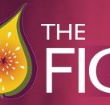 Pickled Fig - Holiday Adelaide