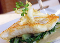 Ballina Hotel - Holiday Adelaide 2