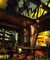 Treehouse Hotel - Holiday Adelaide 2
