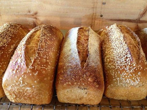 Devere Hotel - Holiday Adelaide 0