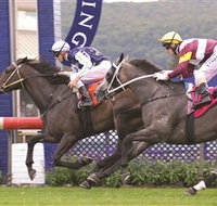 Gosford Race Club - Holiday Adelaide