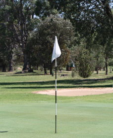 Inverell Golf Club - Holiday Adelaide 1