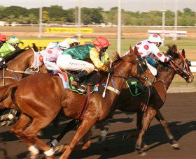 Darwin Turf Club - Holiday Adelaide 1