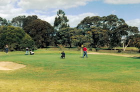 Lucindale Country Club - Holiday Adelaide 1