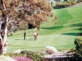 Victor Harbor Golf Club - Holiday Adelaide 1