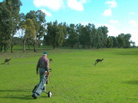 Coffin Bay Golf Club - Holiday Adelaide 0