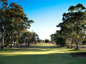 Loxton Golf Club - Holiday Adelaide 0