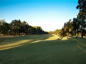 Loxton Golf Club - Holiday Adelaide 2