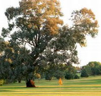 Cowra Golf Club - Holiday Adelaide
