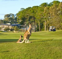 Sanctuary Cove Golf and Country Club - Holiday Adelaide
