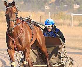 Ballarat & District Trotting Club - Holiday Adelaide 0