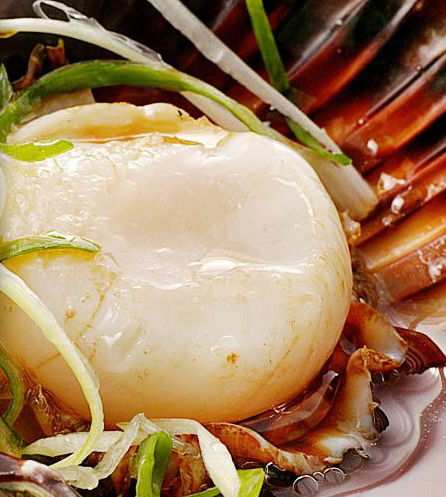 Golden Century Seafood Restaurant - Holiday Adelaide 2