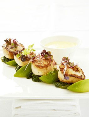 Medusa Greek Taverna - Holiday Adelaide 3